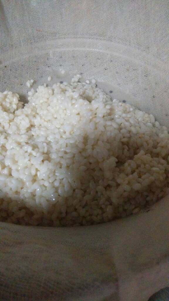 糯米团,泡好的糯米,把水沥干,蒸锅上放纱布,把糯米放在纱布上,开大火蒸30分钟。