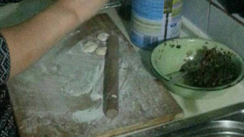 五种蔬菜猪肉馅饺子,擀面包馅