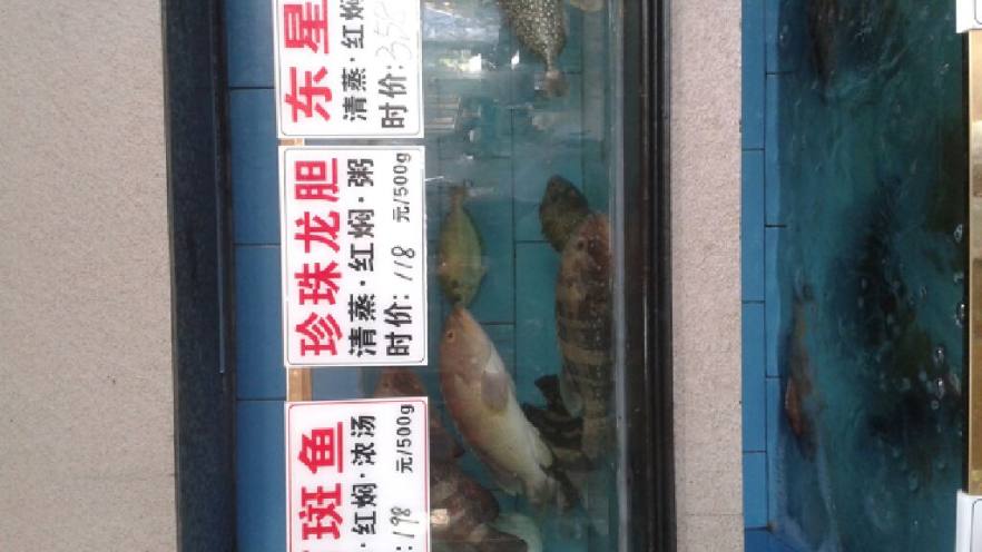 野生海鲜