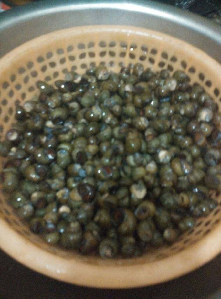 爆香螺狮,泡了一天一夜! 每个螺狮尾拿螺丝刀剪掉~唉 好吃的为什么吃之前都都那么麻烦!