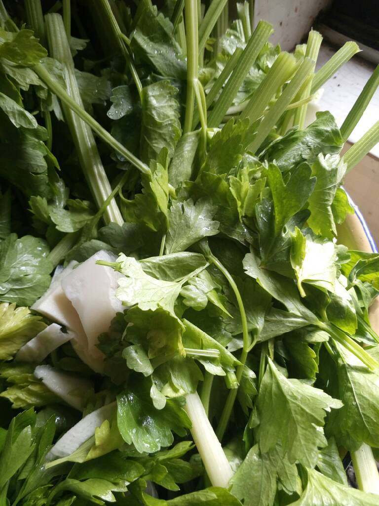 菜笋肉肉包,芹菜叶子也要,洗净