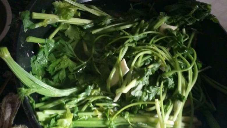 菜笋肉肉包,芹菜开水里沥一下,再放冷水里,动作要快,免得菜发黄~