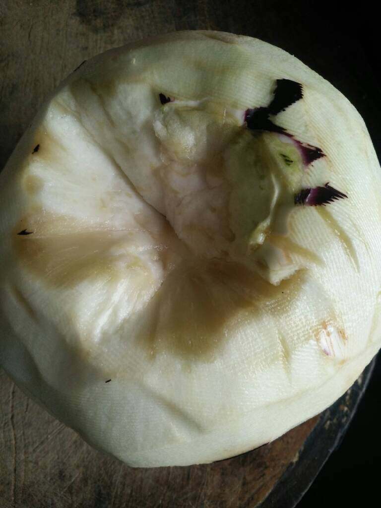 打卤面,去皮,洗净