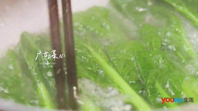 梅香咸鱼蒸鲈鱼&腊味双拼饭 ,取煮锅烧水,加入适量盐,将广东菜心焯熟