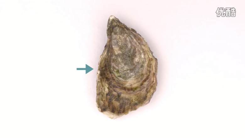 三种方法开生蚝,法式手法:1.刀尖插入生蚝右侧3厘米处,用力撬动几下