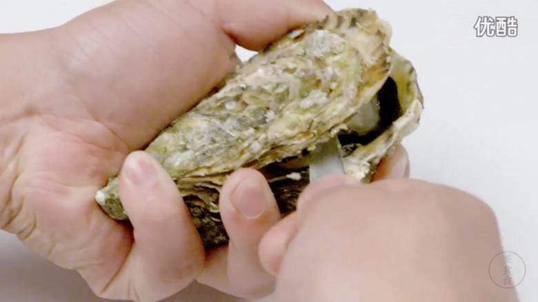 三种方法开生蚝,2.感受生蚝壳松动,撬开