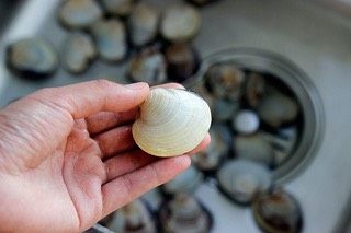 辣炒花蛤,彻底刷洗干净表皮泥沙