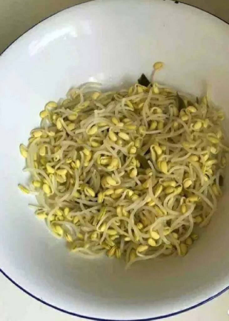 毛血旺,将豆芽倒入锅中开水中煮熟后,再将煮的豆芽放入一个大盆中作为一个菜的辅底