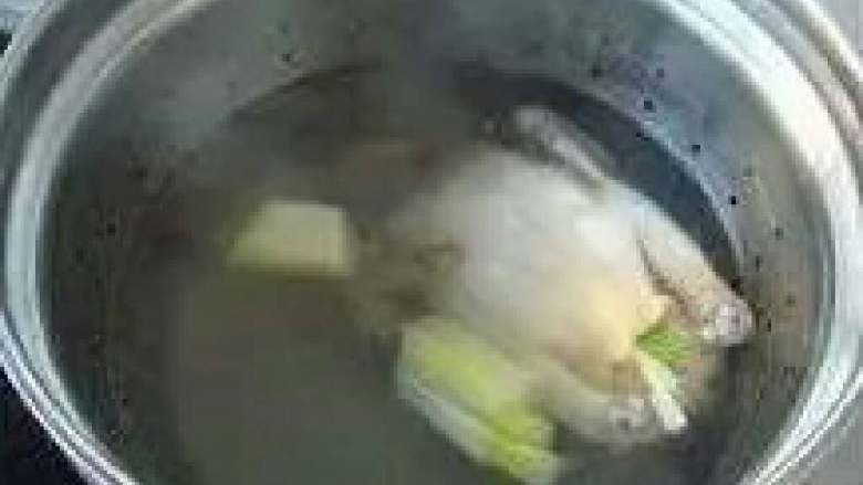 肥嫩鲜美白斩鸡,关火,盖上锅盖约浸十五分钟至熟,用筷子插入鸡腿间无血色溢出,即可捞起。
