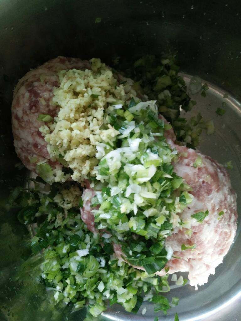 肉包子,葱花,姜沫放肉馅里