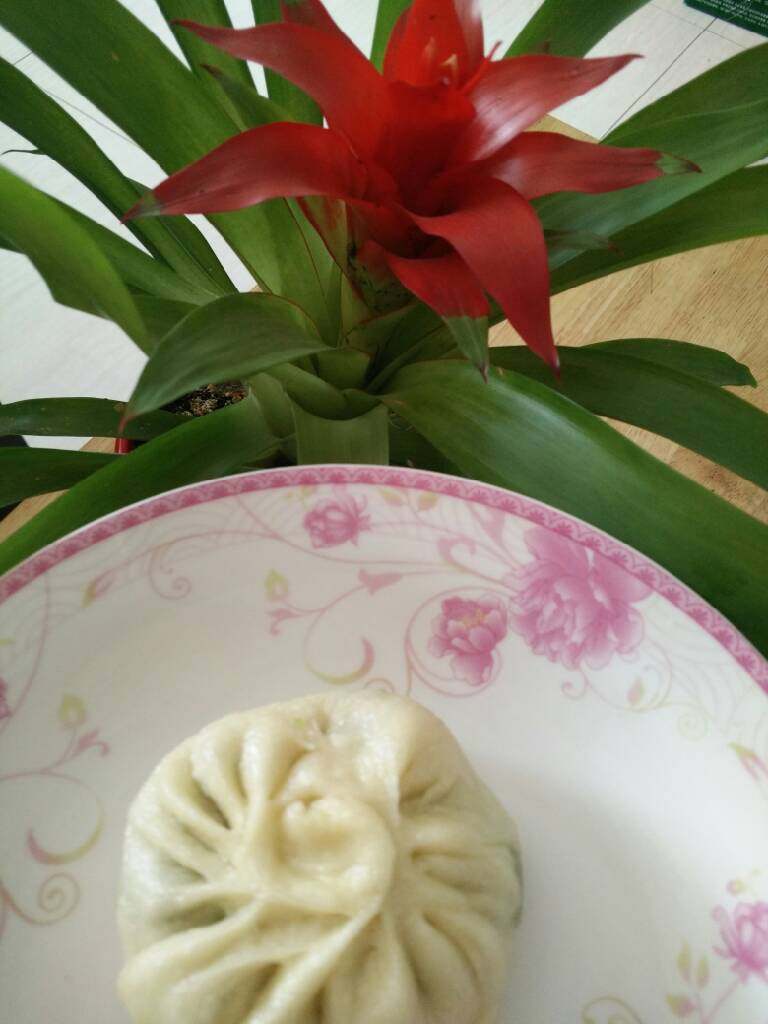 菜包子,水开10分钟,关火后闷3分钟即可