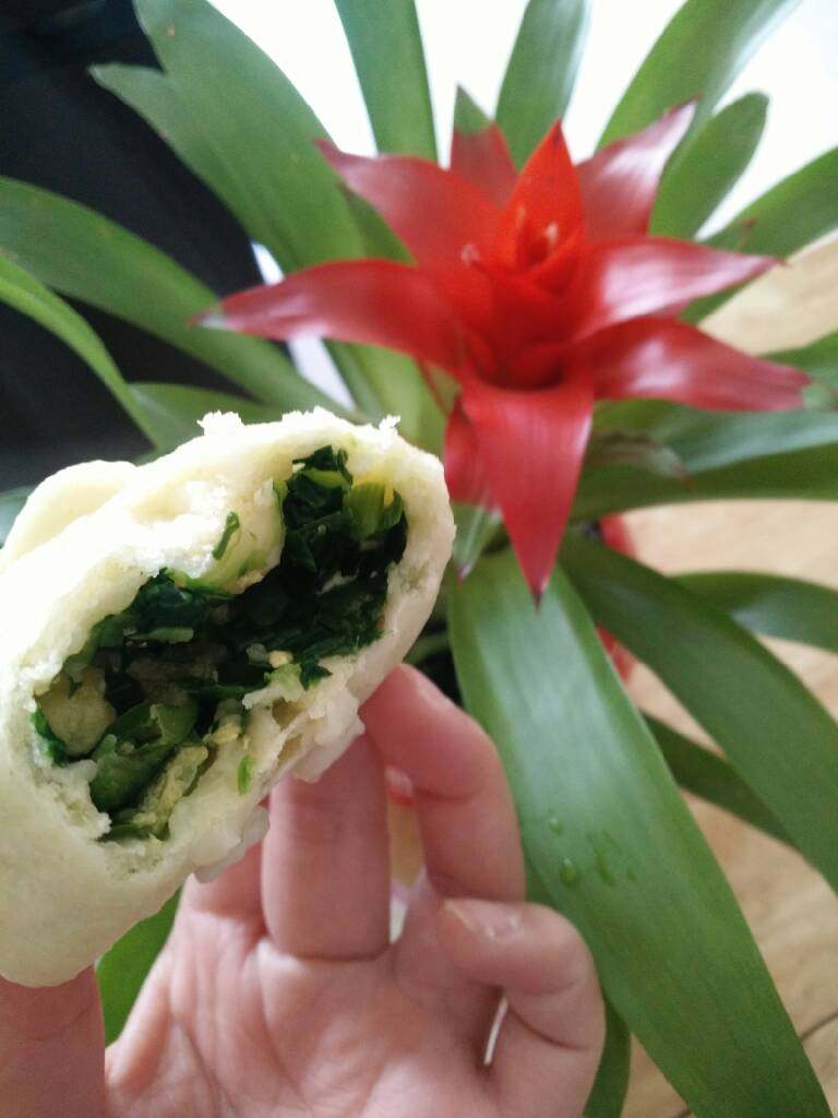 菜包子,Duang!出锅喽!热乎的包子快来吃呦!