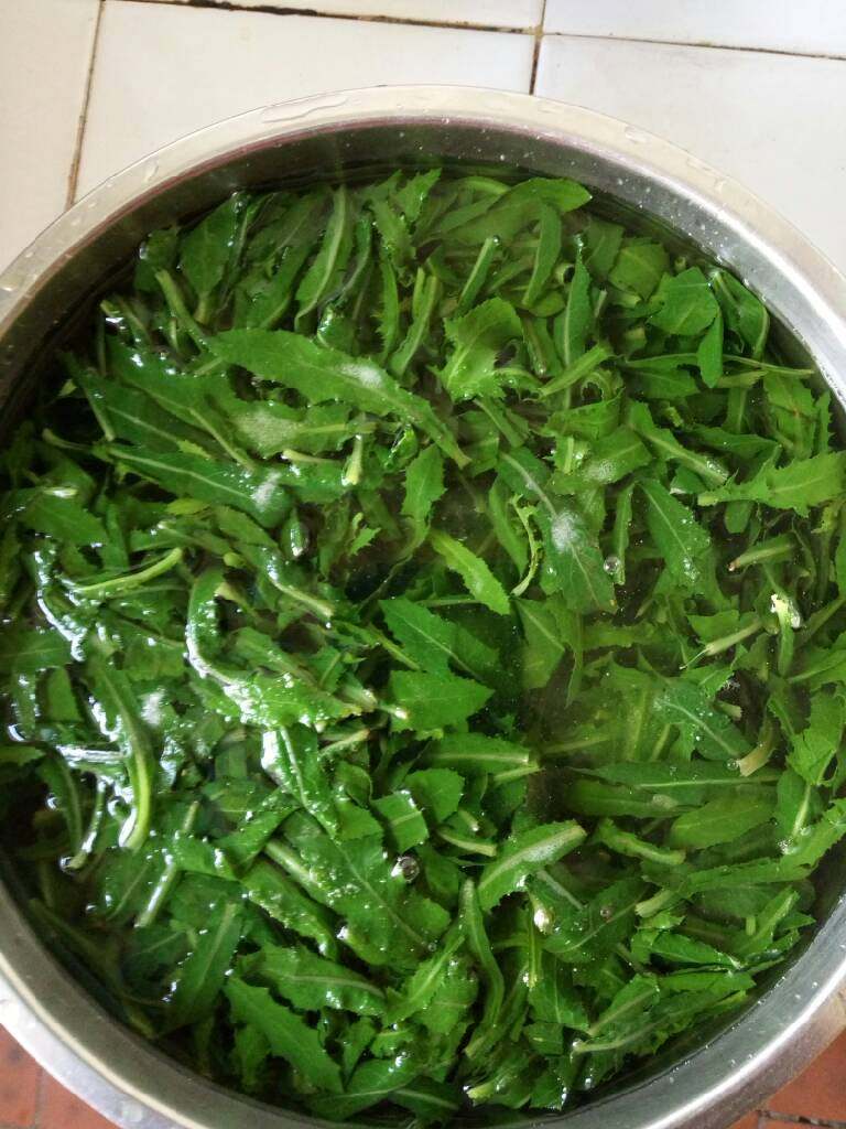 花椒油拌苦苦菜,再捞进凉水盆里,放点盐泡一会儿😊差不多十五分钟到二十分钟吧😄