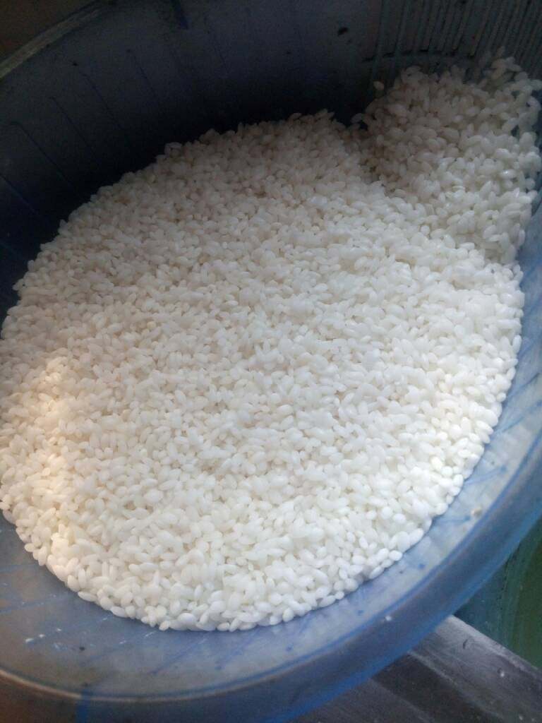咸肉豌豆饭,白米加点糯米,要早淘几个小时,这样烧了好吃