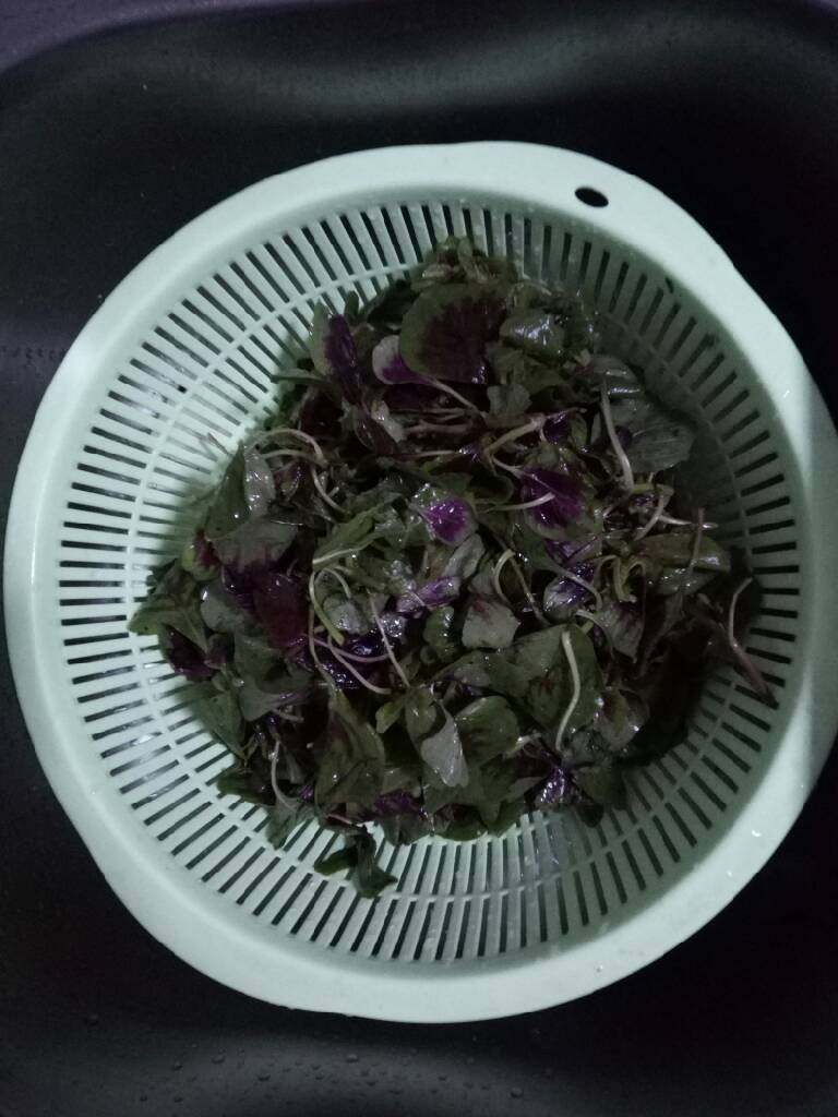 炝香苋菜,<a style='color:red;display:inline-block;' href='/shicai/ 151'>苋菜</a>洗净沥干