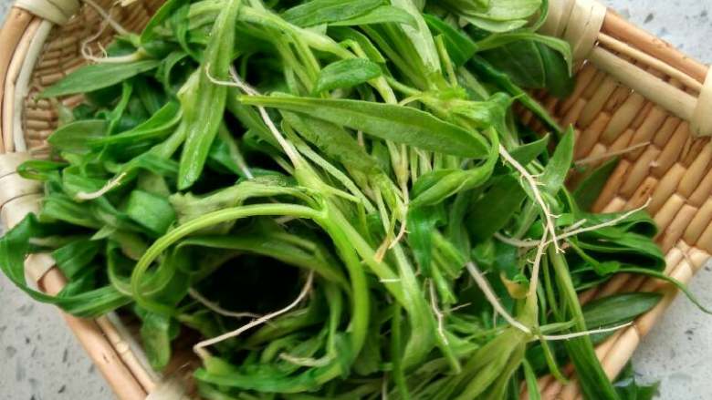 #野生白根菜,三鲜馅馄饨#,野生白根菜洗干净备用