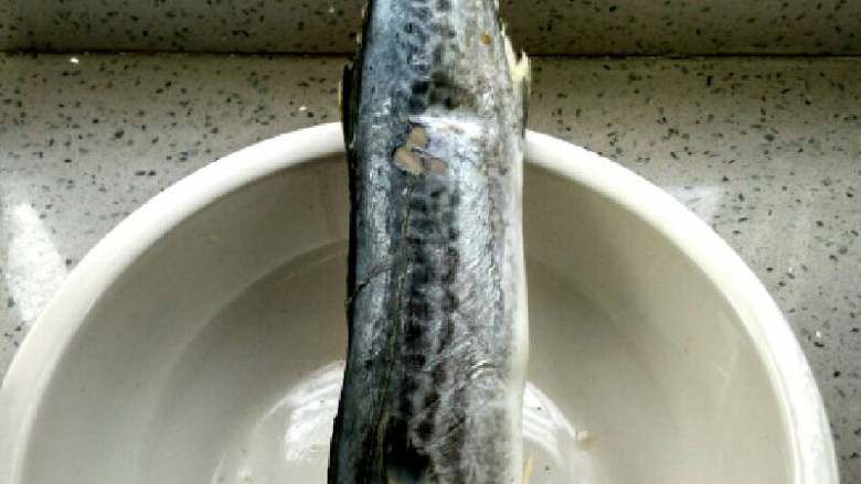#白白胖胖的鲅鱼🐠水饺#,鲅鱼一条,洗干净备用,