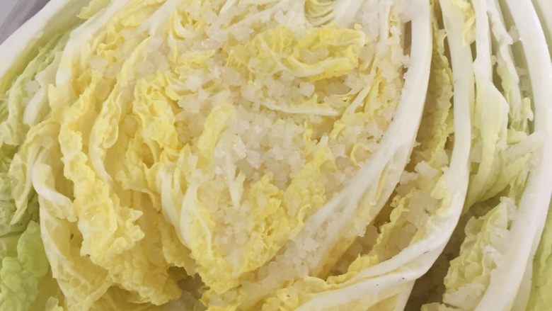 韩国泡菜,大白菜放粗盐腌12小时,每块叶子都确保沾上盐,然后用重物压着