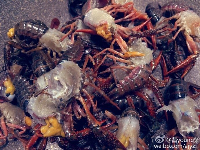蒜蓉火爆小龙虾,首先要将准备好的<a style='color:red;display:inline-block;' href='/shicai/ 285'>小龙虾</a>去头去线,去头就是去除它的虾头壳,虾头里面会有黑黑的东西,所以龙虾需要去头壳