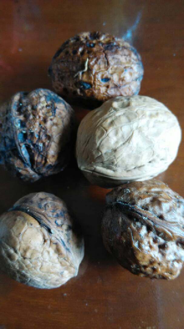 核桃红枣粥.,将核桃夹开取出桃仁，不去内仁上皮。