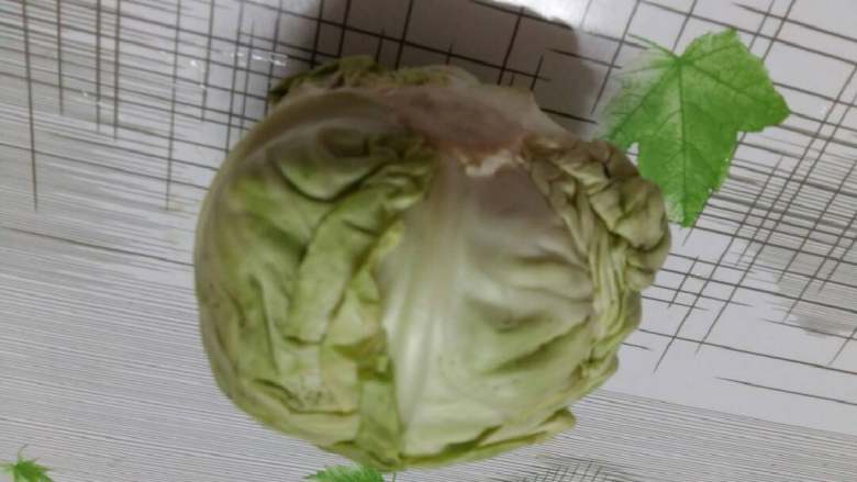 酸辣包心菜(腌制品),圆包心菜洗净待用