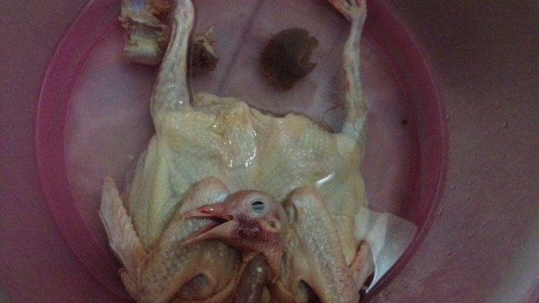 海带绿豆煲乳鸽,乳鸽洗净
