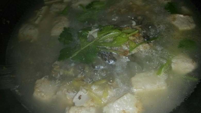 鲫鱼豆腐汤,转小火煮至水开,撒上葱花,香菜,蔬之鲜。