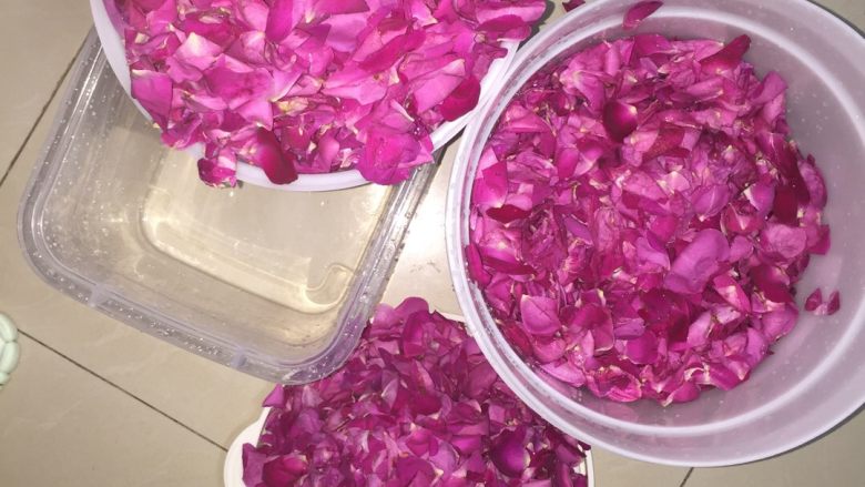 水果酵素(玫瑰花陈酿酵素),将1000g玫瑰花用纯净水加环保酵素浸泡清洗,在沥干