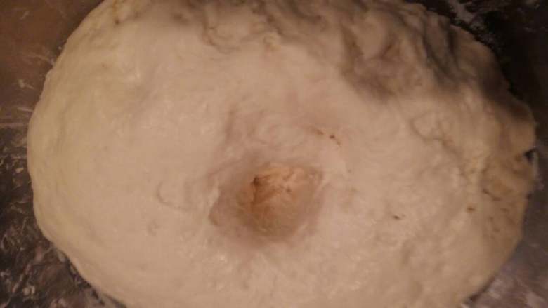 葱香肉包子,面团中间用手指摁一下,没有回缩面团发好了。