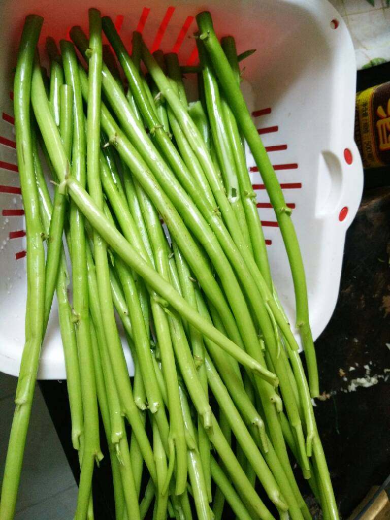 爆炒空心菜杆子