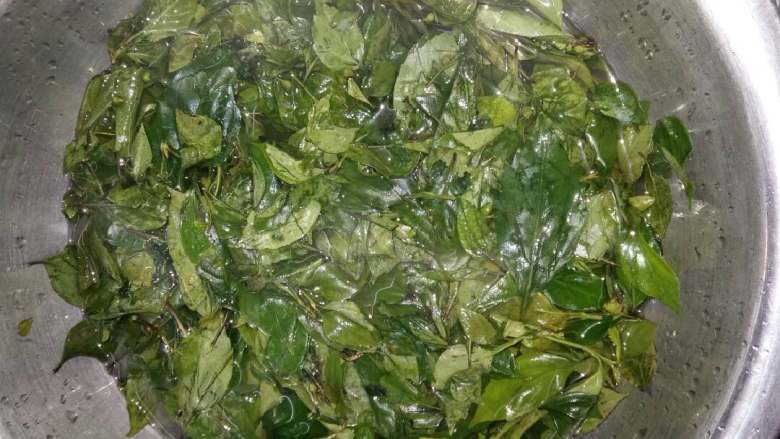观音豆腐(家乡美食),水烧开盛入容器里,稍微凉一下加入观音柴进行搅拌。