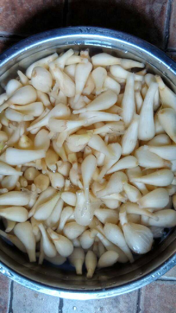 糖醋藠头.,、藠头用盆装,用清水泡两天,每天换水两次或多次。至水淡无盐味为好。