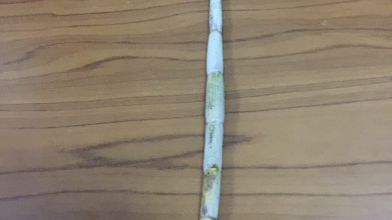 铁皮石斛汁➕天之金兰花,取新鲜铁皮石斛一根,煮或泡软……
