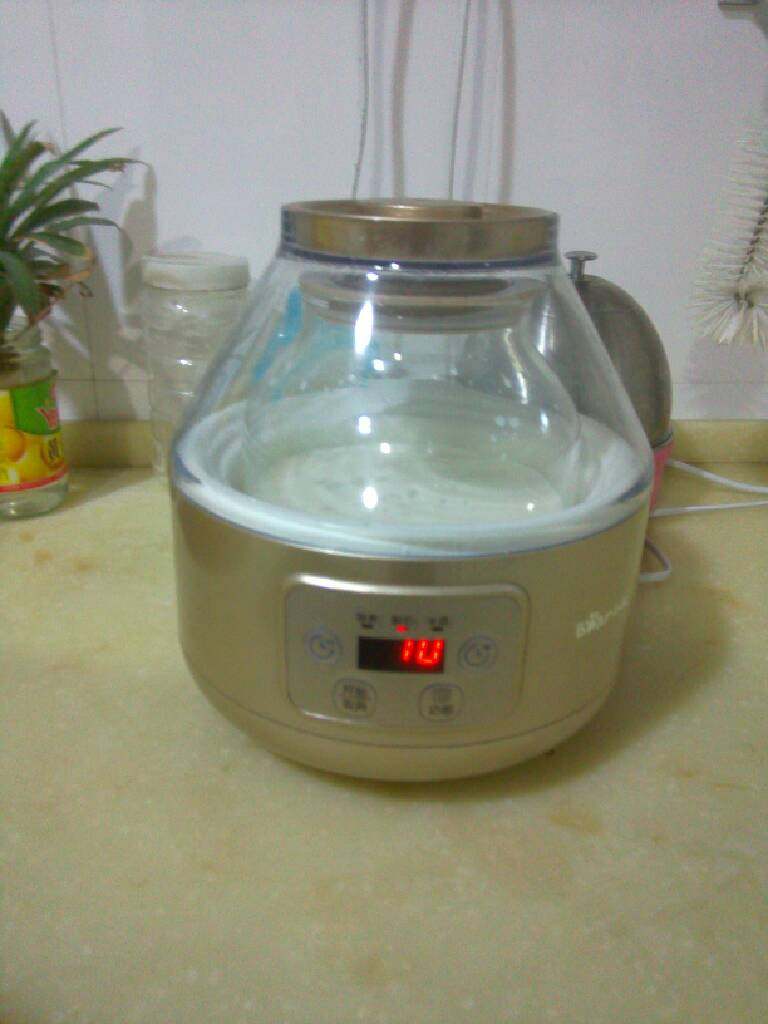 超级无敌特好吃的美味水果酸奶,将准备好的材料放进酸奶器