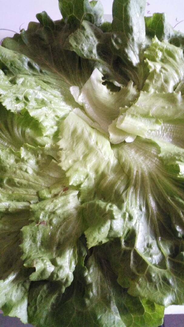 四喜烤麸,生菜叶洗净,摆放盘垫,备用。