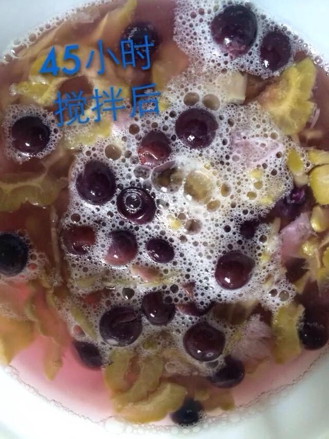 苦瓜野葡萄柠檬酵素,发酵45小时后,泡多而细腻,闻到苦瓜的香味和酒酿味,尝起来甜大于酸,继续发酵