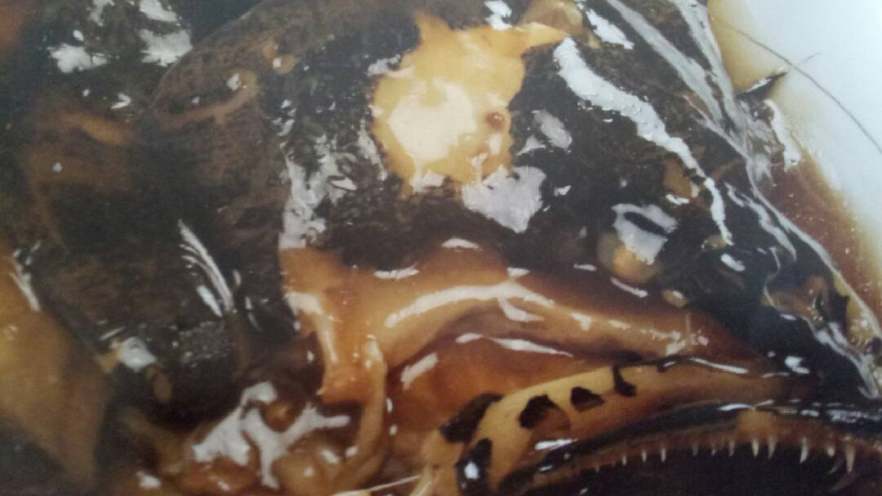 红扒深海鲽鱼头