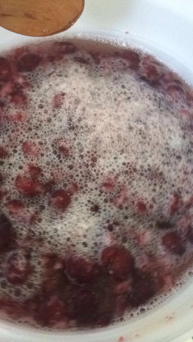 杨梅陈酿酵素,发酵第二天,泡泡丰富,继续发酵