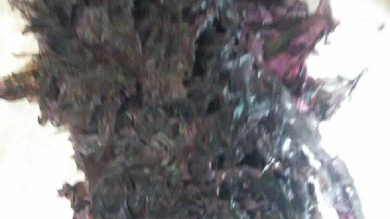 西红柿鸡蛋面,放入紫菜调味