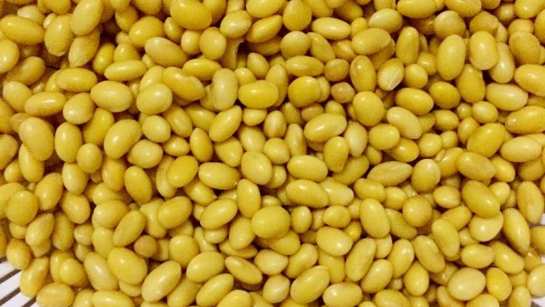 自发黄豆芽,泡了一下午已经泡发了，沥干水，放在滤水篮里，上面盖湿毛巾，再盖一个不透光的盖子（见光豆芽会变绿）