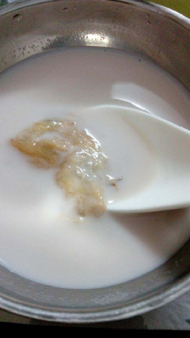 花胶牛奶冻,炖完后放凉后放冰箱，静置一晚上。