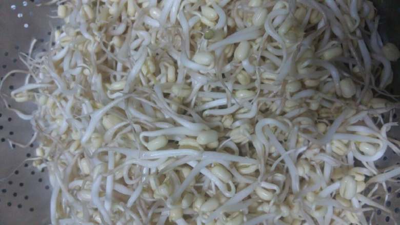 豆芽炒肉丝(自制绿豆芽),择去绿豆芽的外衣洗净。