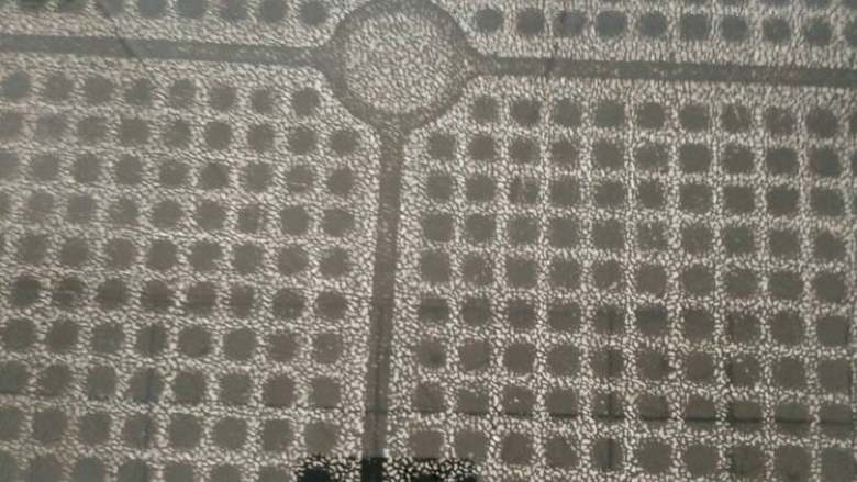 干煸豆角,电饼档热油