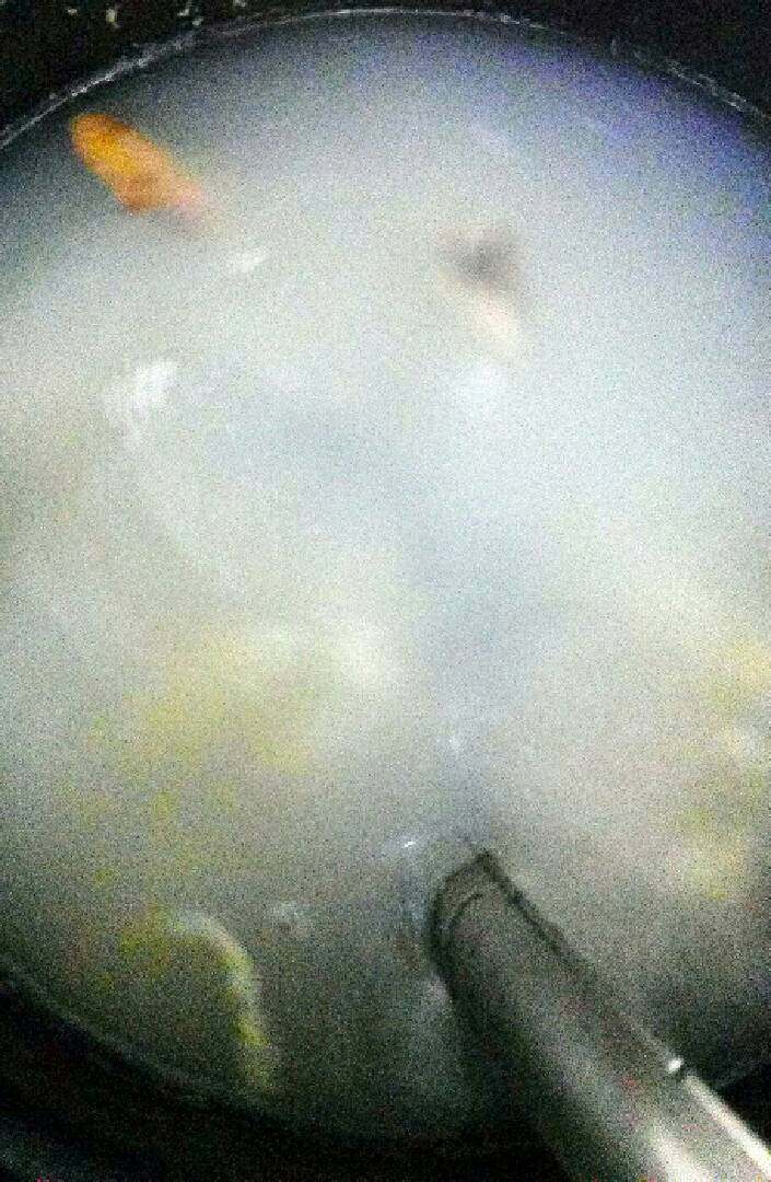 花胶鸡肉粥,米先洗干净，加几滴油，盐，搅拌，静置几分钟，先把水煮开，后放腌过的米。放<a style='color:red;display:inline-block;' href='/shicai/ 37'>姜</a>。