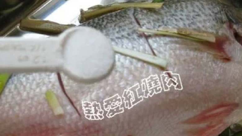 清蒸鲈鱼,3、<a style='color:red;display:inline-block;' href='/shicai/ 3250'>葱</a>丝也均匀铺在鱼身上(鱼肚和鱼嘴还有鱼身下都要加)。