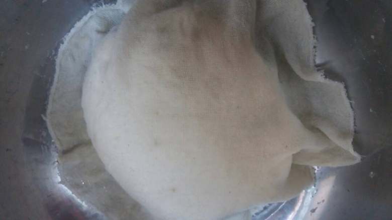 菜包子(萝卜豆腐),揉成柔软的面团,盖上蒸笼布,醒发半个小时。在这之间多揉几次面团。
