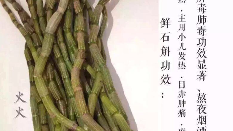 鲜榨石斛汁,新鲜石斛，味道清，功效好