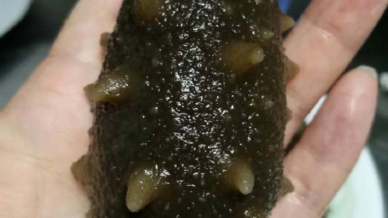 泡发海参,如此这样再经过两天,海参就完全泡发好喽!