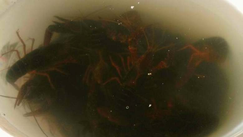 香辣小龙虾,把<a style='color:red;display:inline-block;' href='/shicai/ 285'>小龙虾</a>浸泡3~5个小时,吐出排泄物