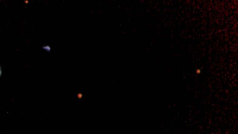 冰块儿葡萄，超级好吃！,放到冰箱冷藏室😰